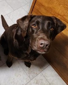Buster ADOPTED:)