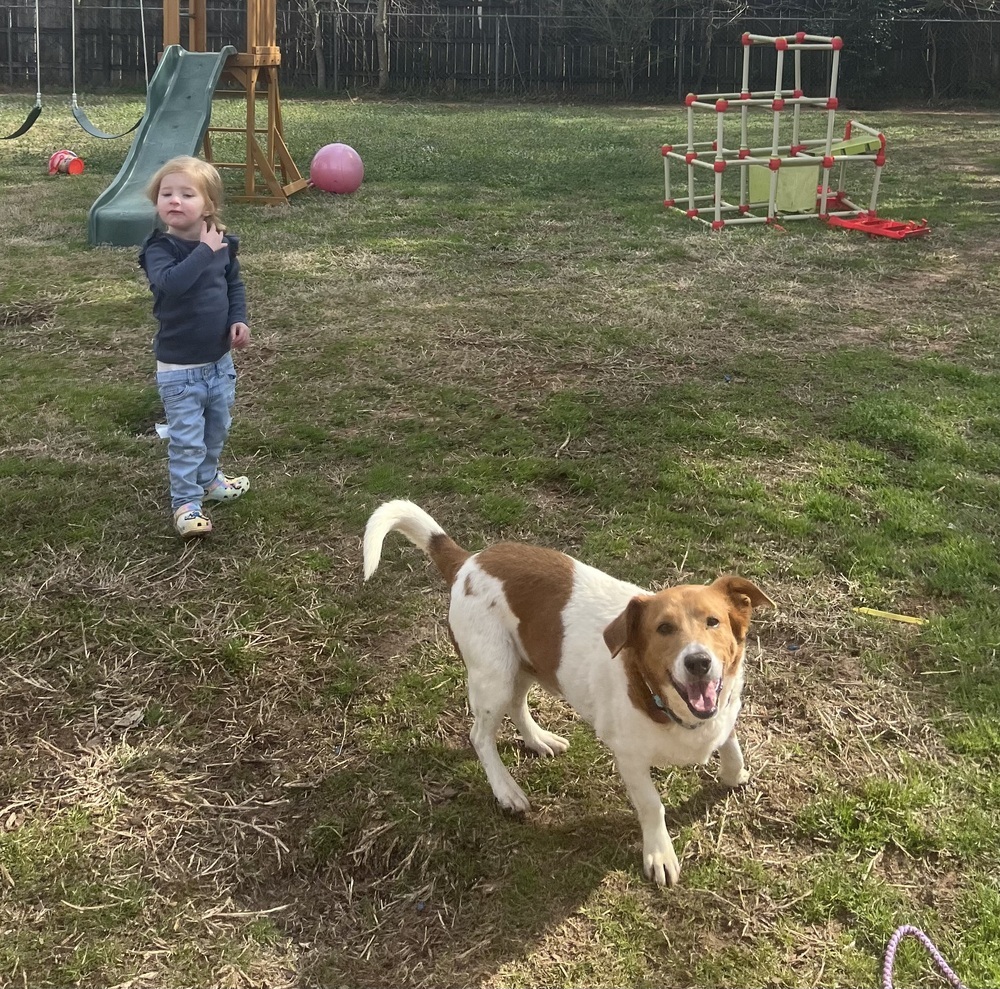 Jake ***Special Needs - Seizures***