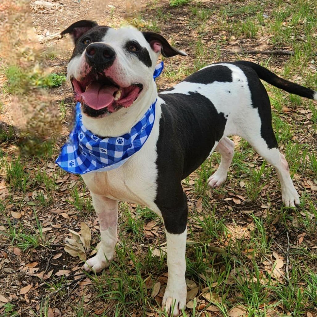 Ferdinand JuM — thumbnail 6