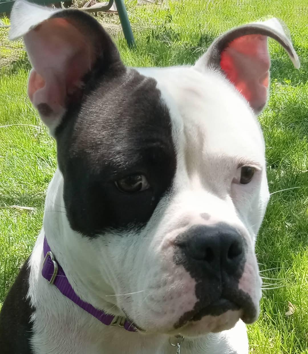 Bree thumbnail 3