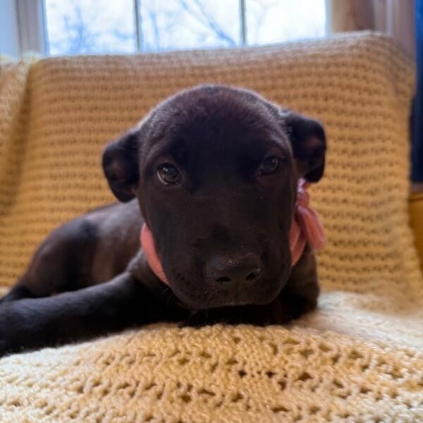 April Bandera — thumbnail 4