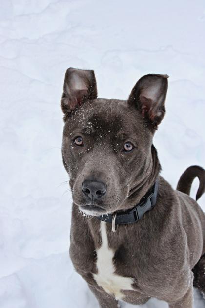 Nero — thumbnail 2