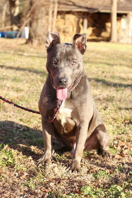 Nero — thumbnail 3