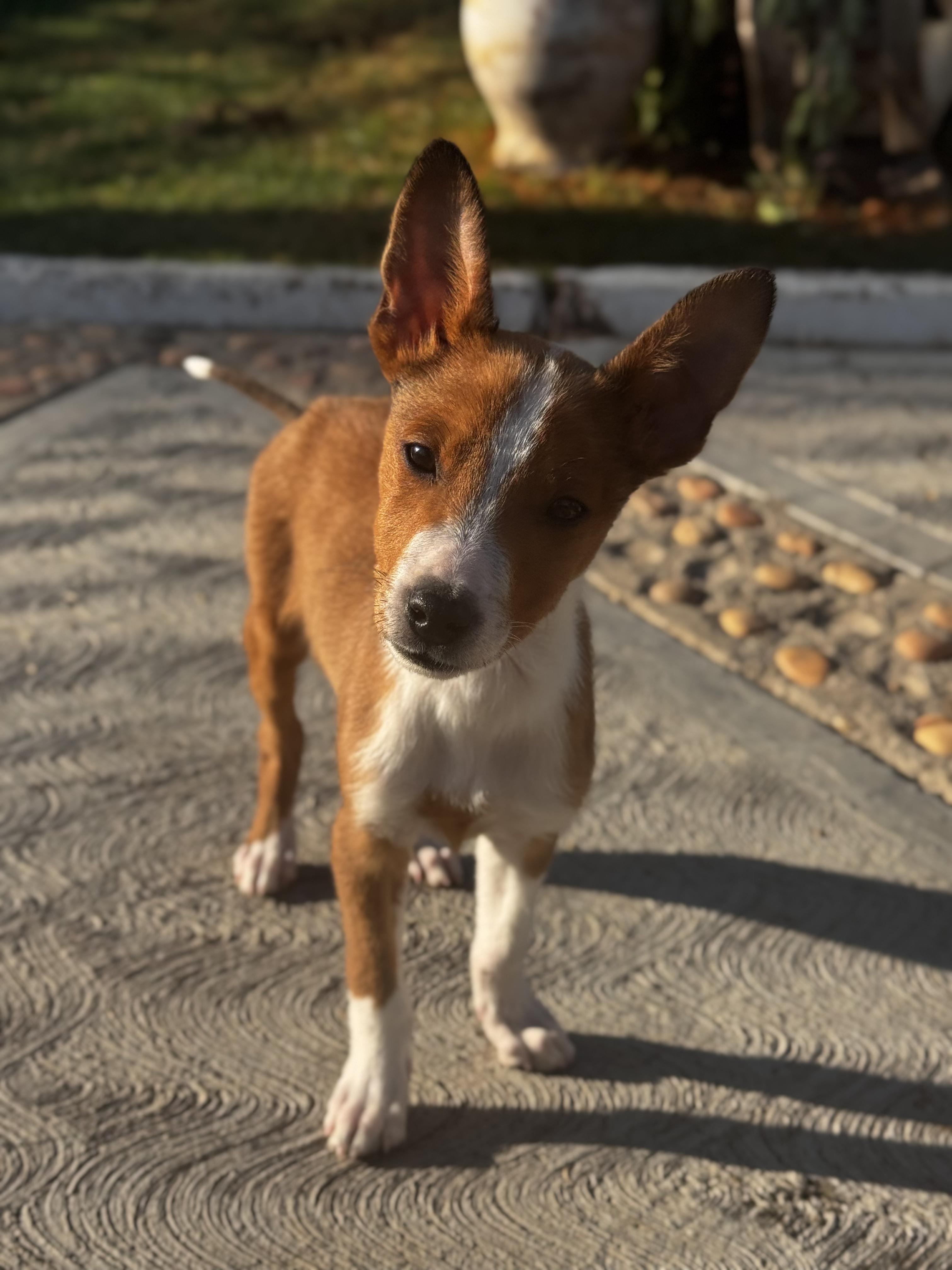 Eric — thumbnail 4