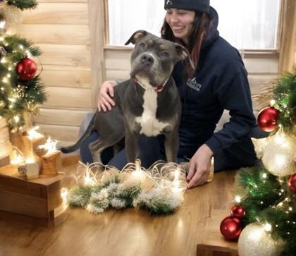 Seraphina — thumbnail 3