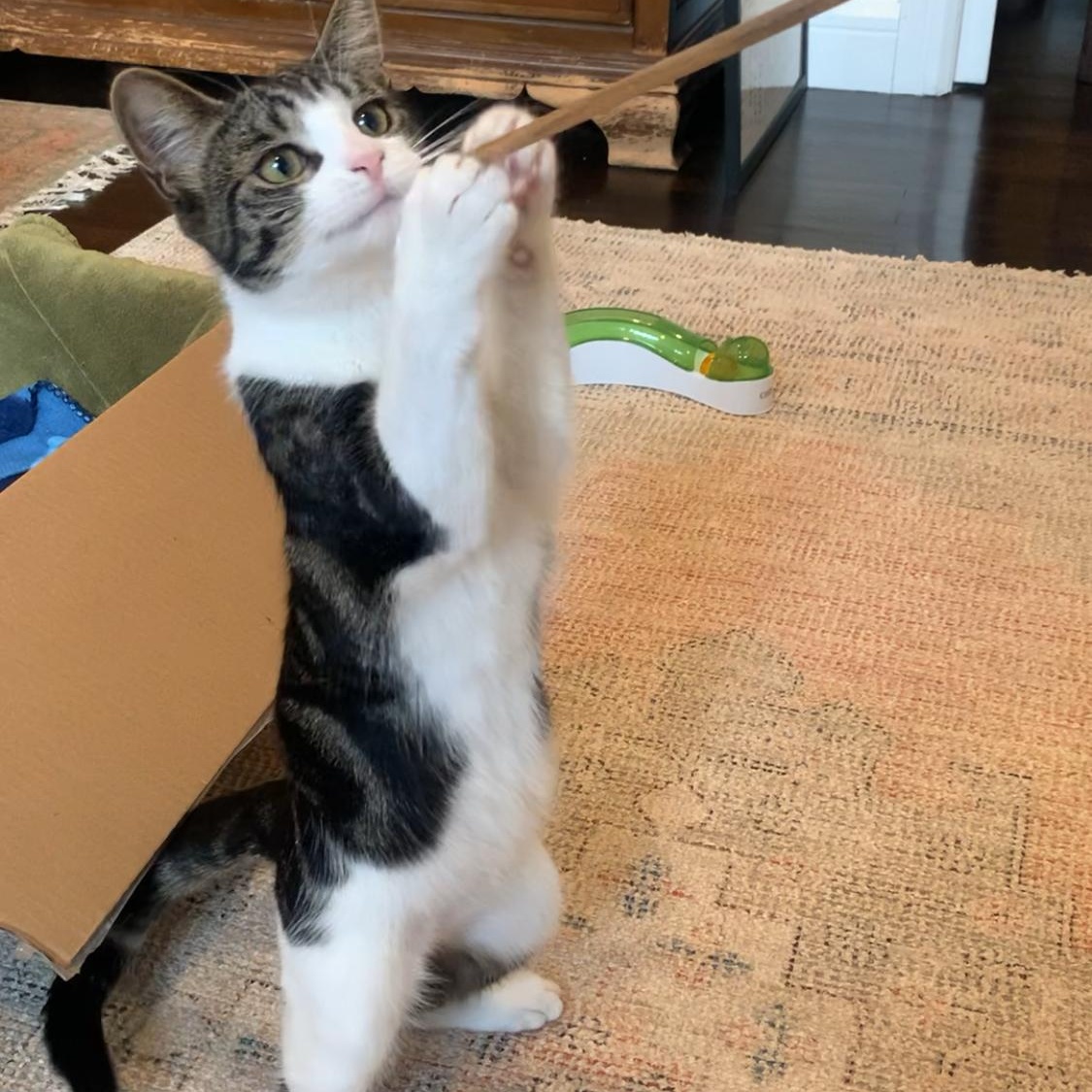 MAY - Cuddle Connoisseur