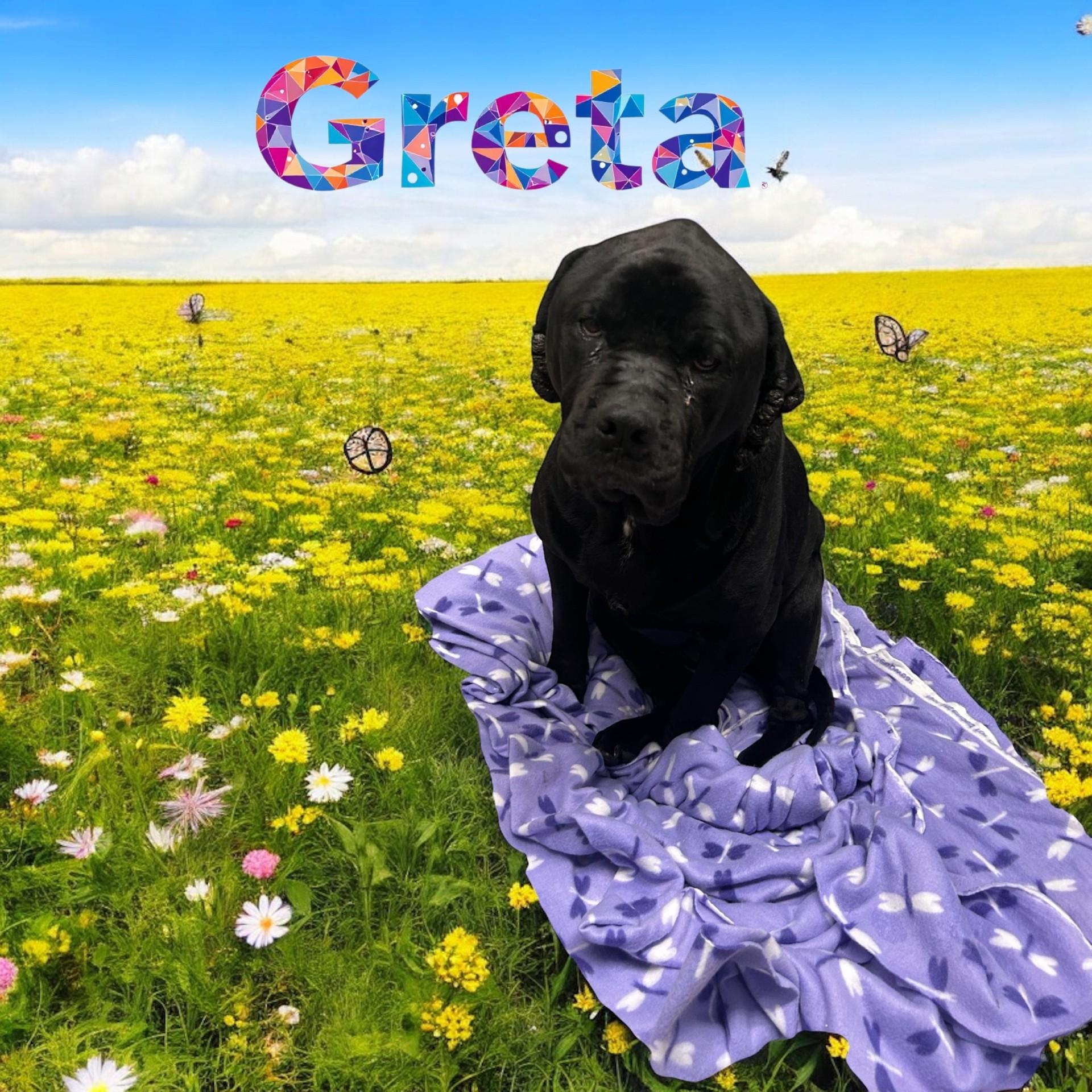 Greta photo 3