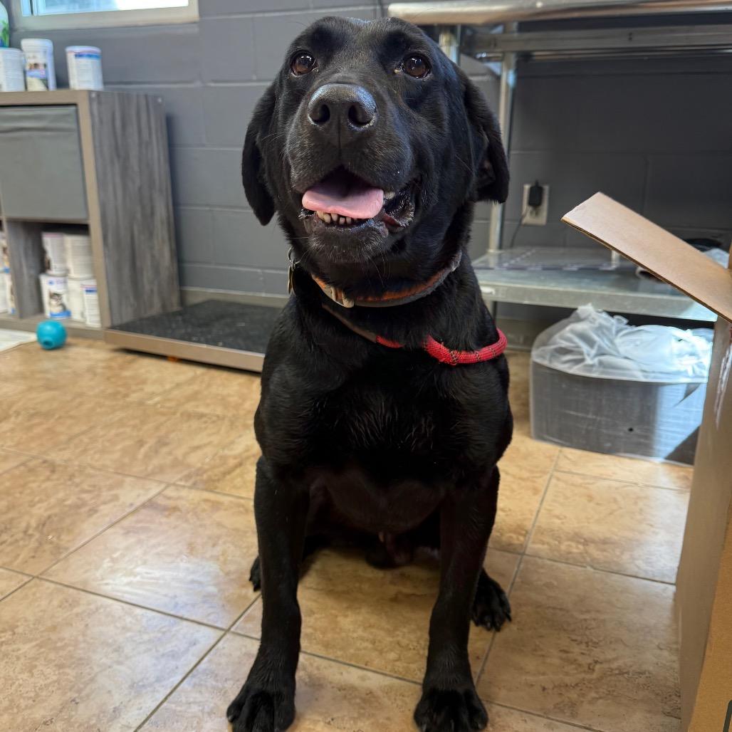 Tide — thumbnail 2