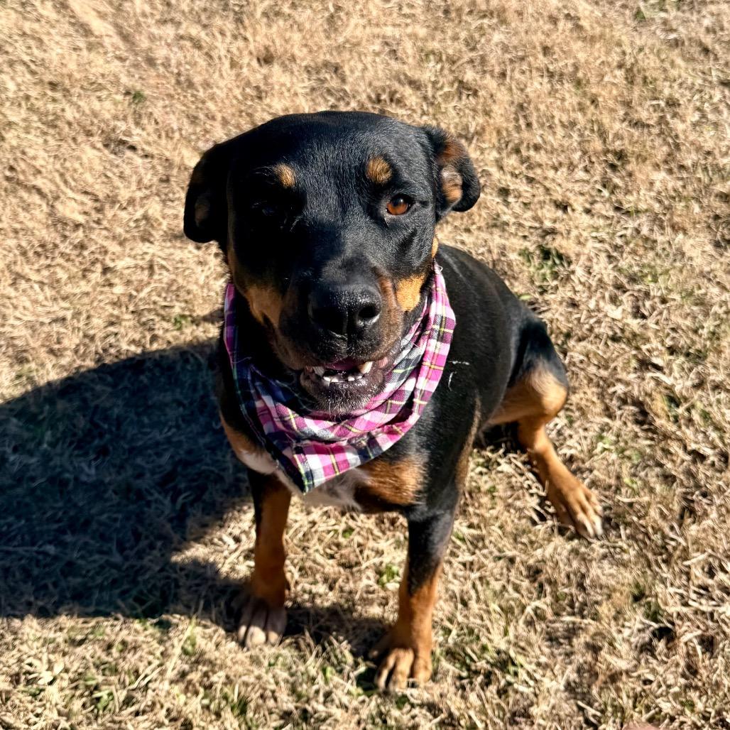 Maria — thumbnail 6