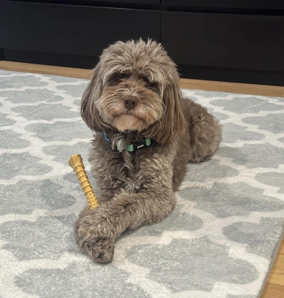 Shiloh — thumbnail 6