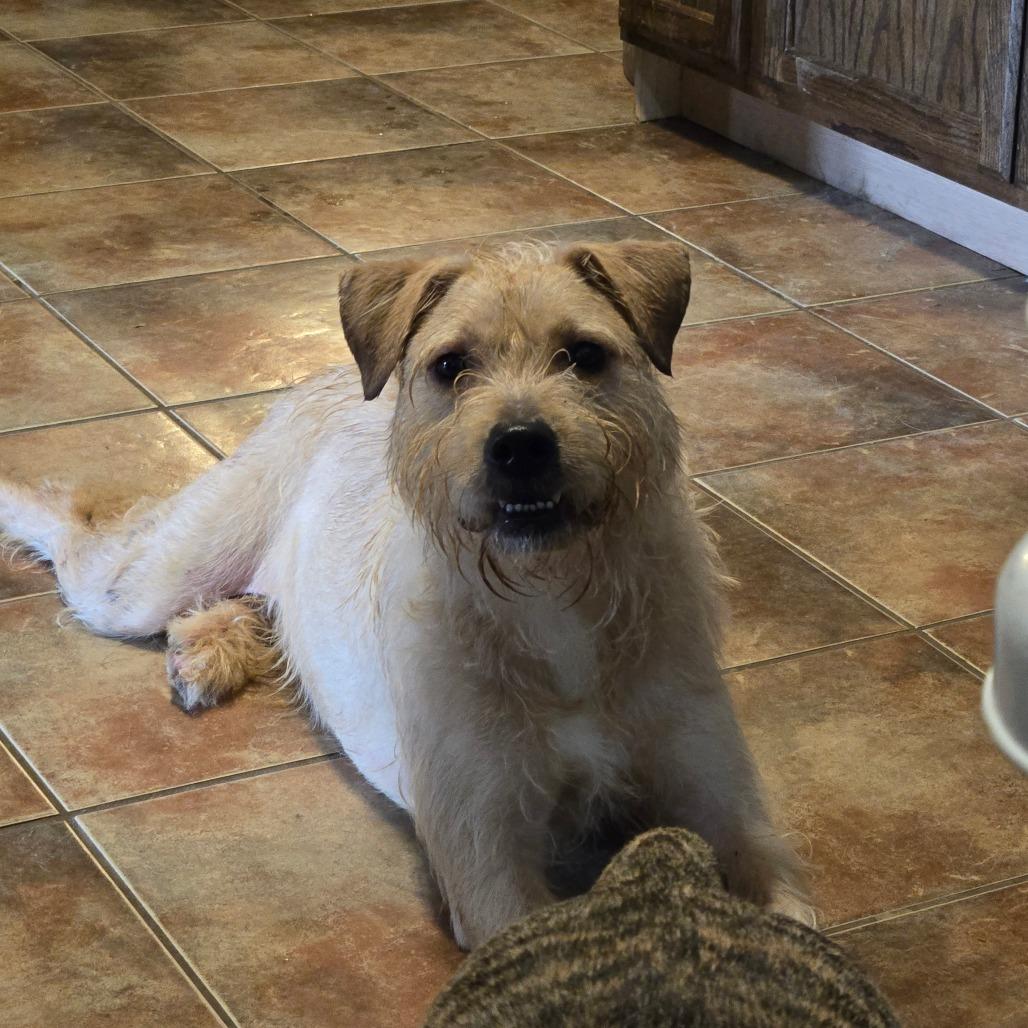 Rocky — thumbnail 2