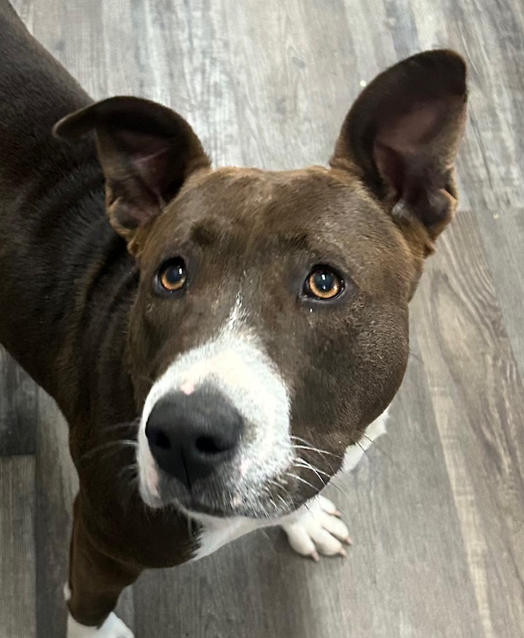 Maggie Magnificent thumbnail 4