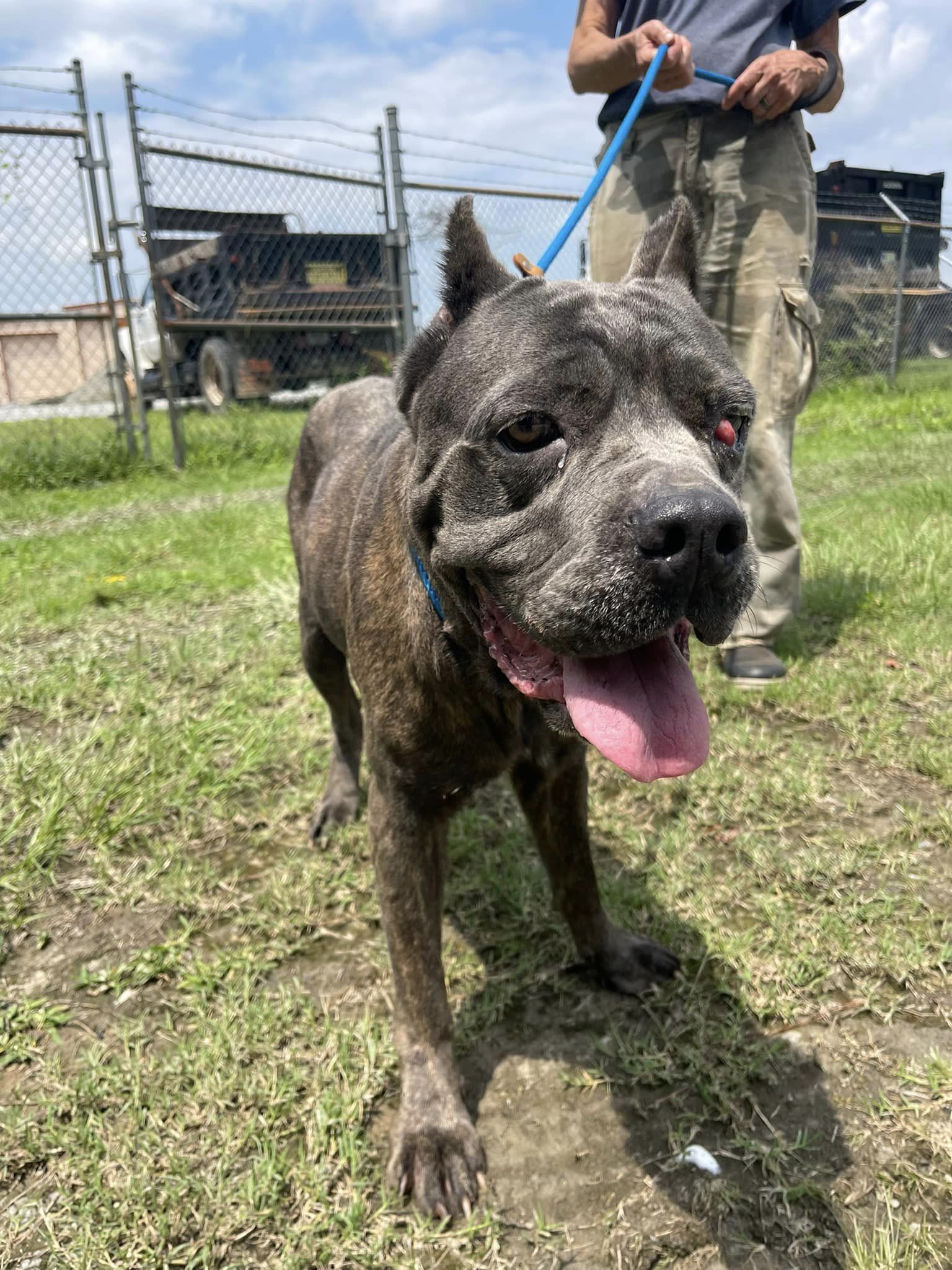 Molly