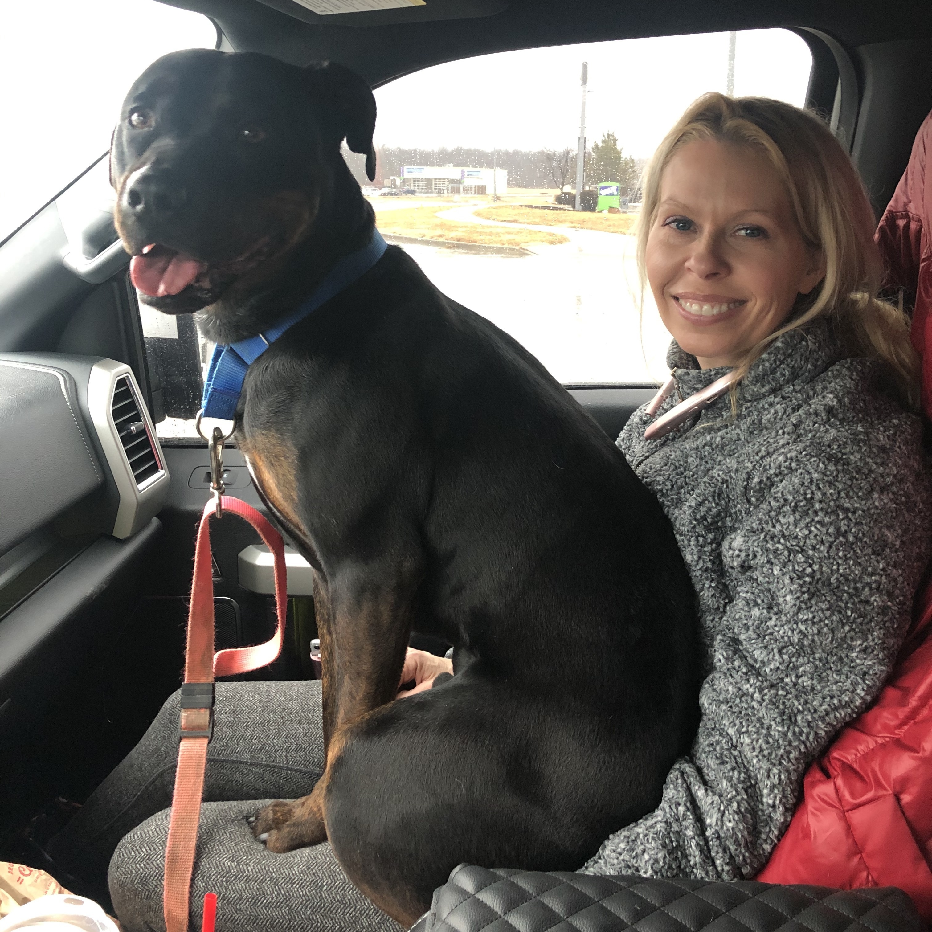 Bubba, a Adoptable mixed breed in Mission, KS image 4/6