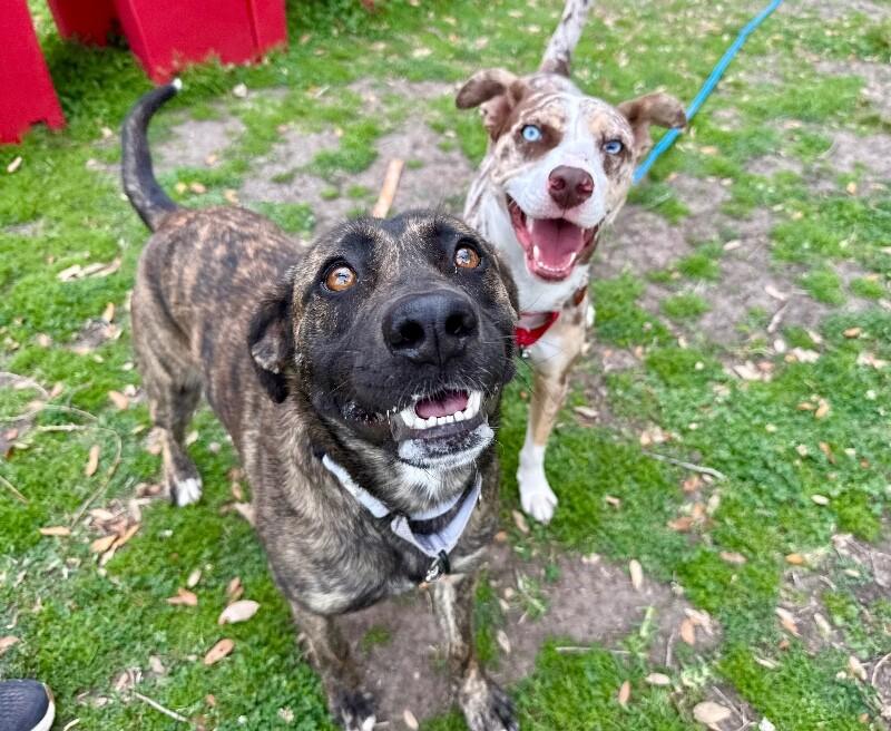 Jenny June the Definition of Darling — thumbnail 2