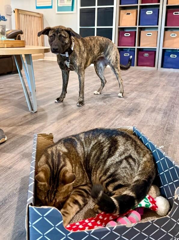 Jenny June the Definition of Darling — thumbnail 4