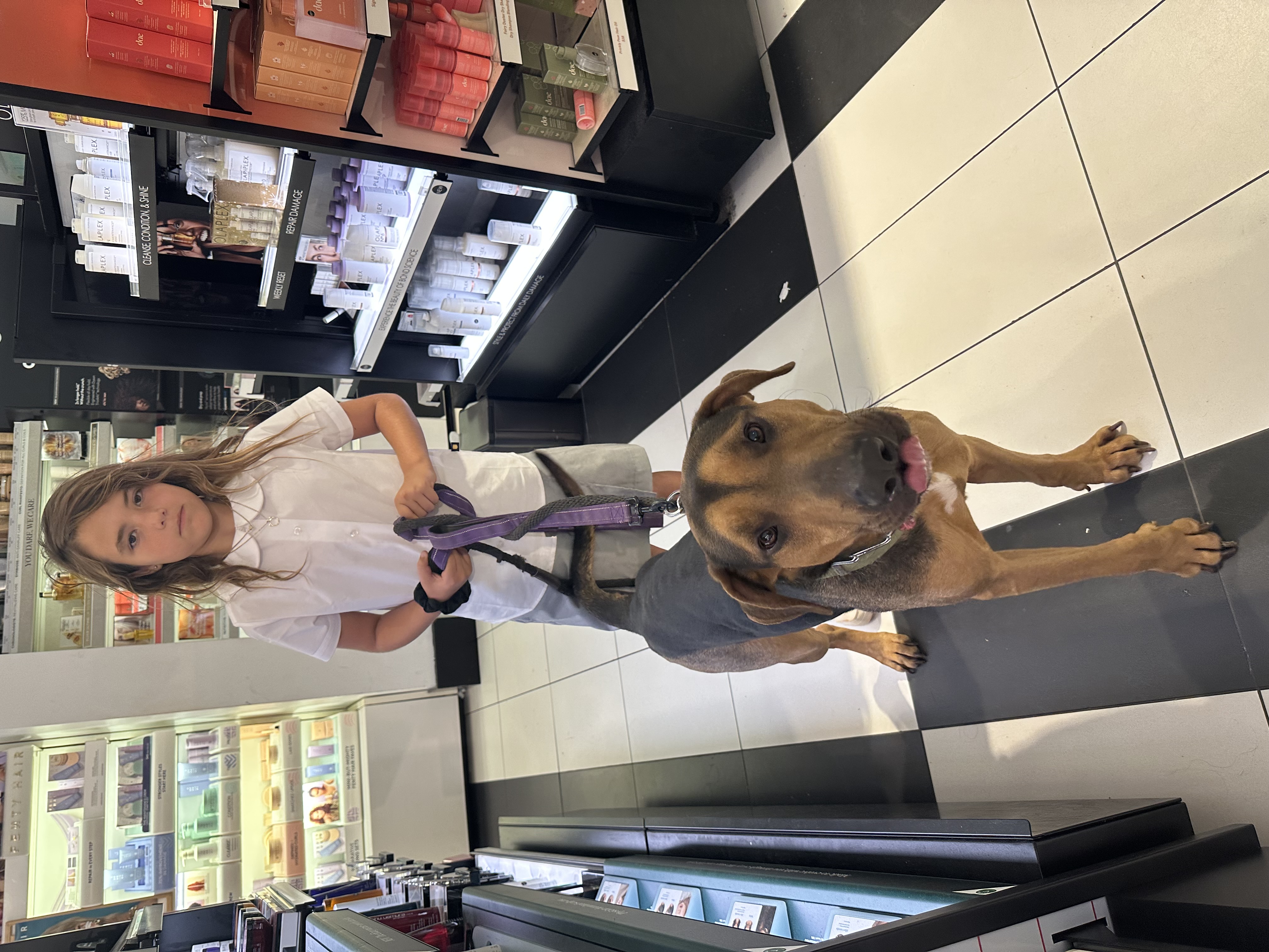 Bailey, a Adoptable mixed breed in Huntington Beach, CA image 5/6