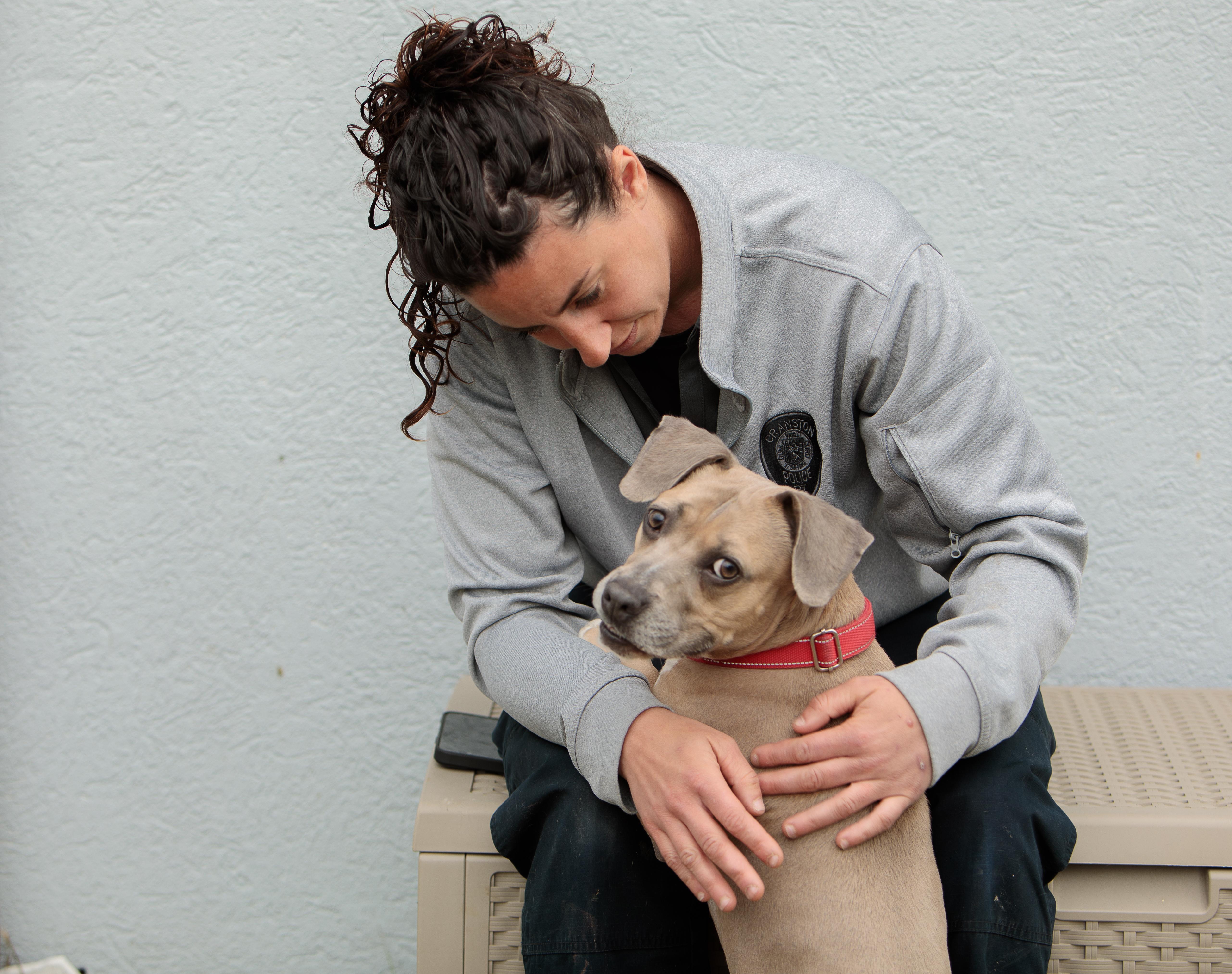 Coco-Chanel, a ADOPTABLE mixed breed in Cranston, RI image 2/3
