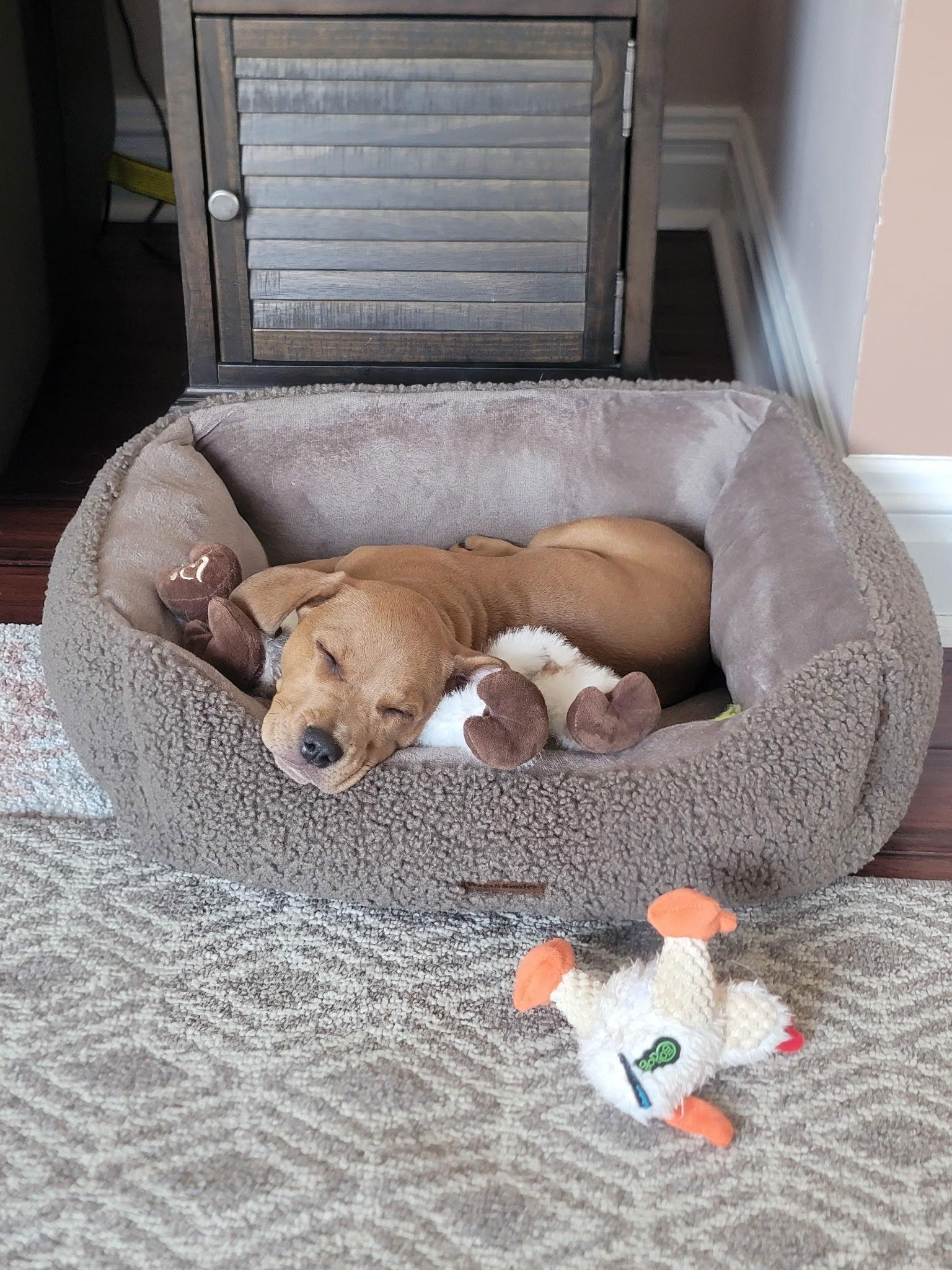 Will- No More Applications — thumbnail 3