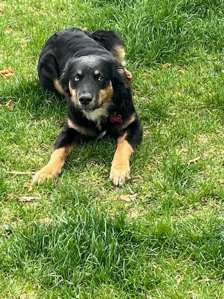 SF-Sadie photo 2