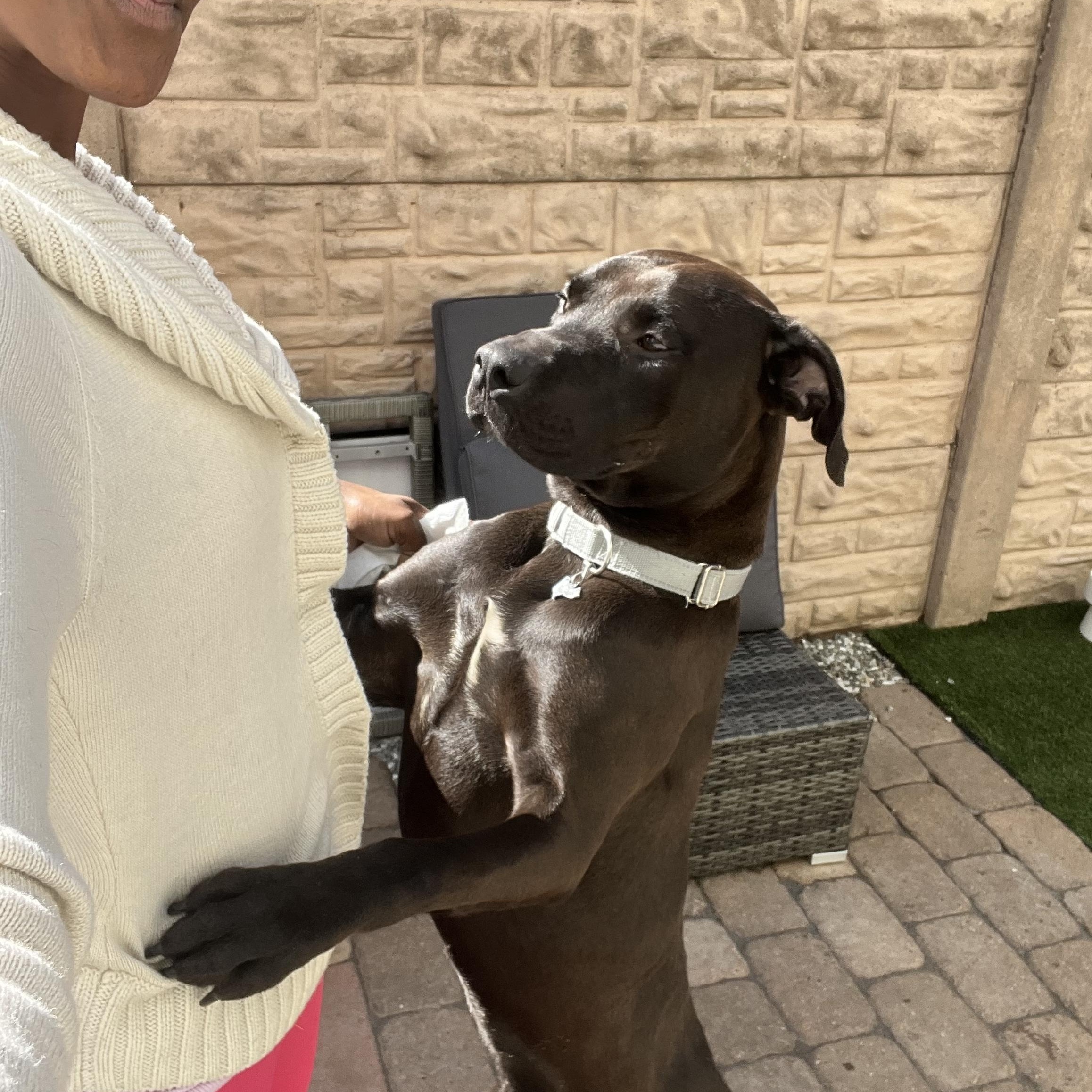 Diesel — thumbnail 3