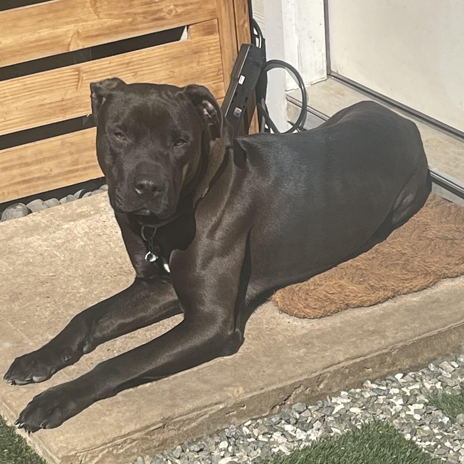 Diesel — thumbnail 4