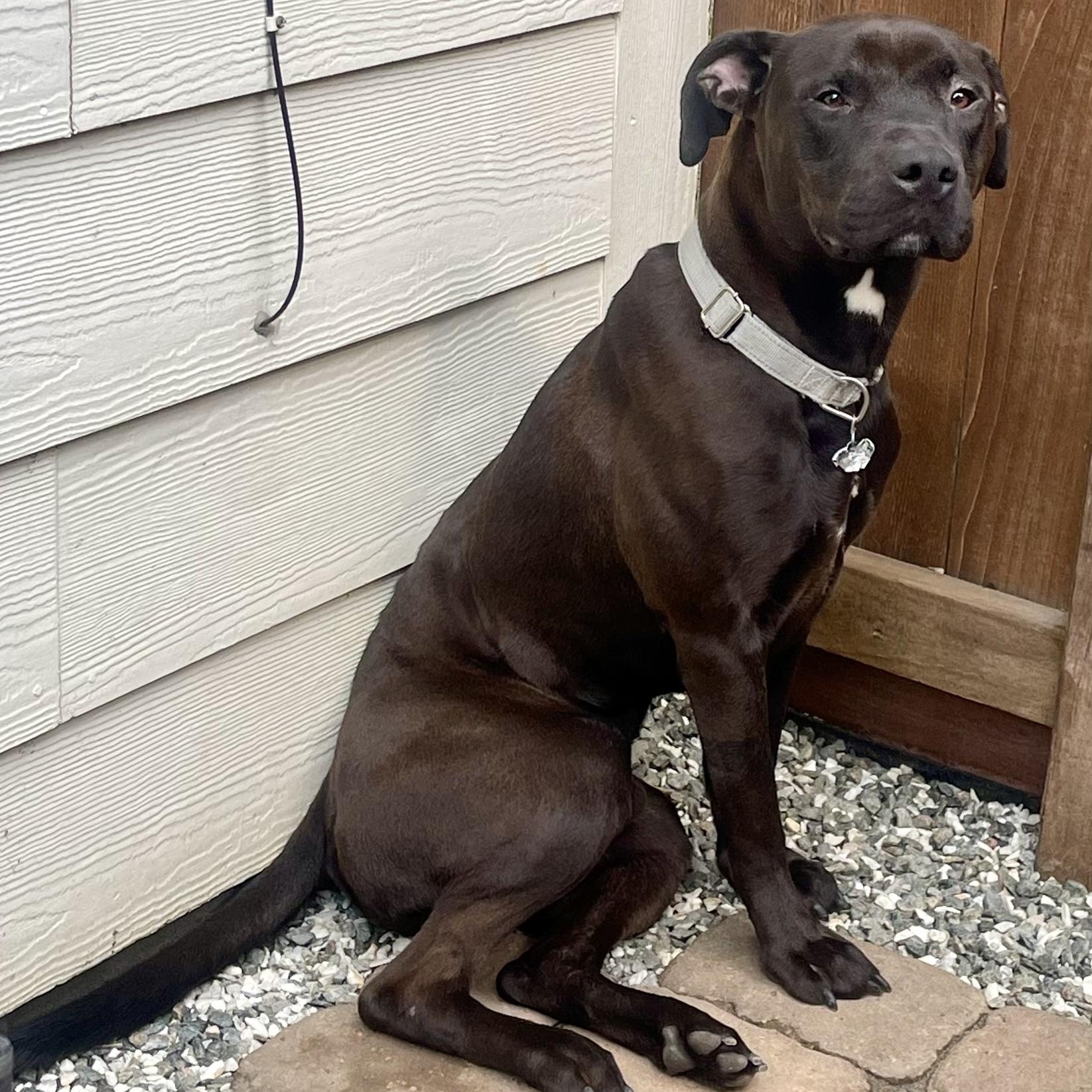 Diesel — thumbnail 5