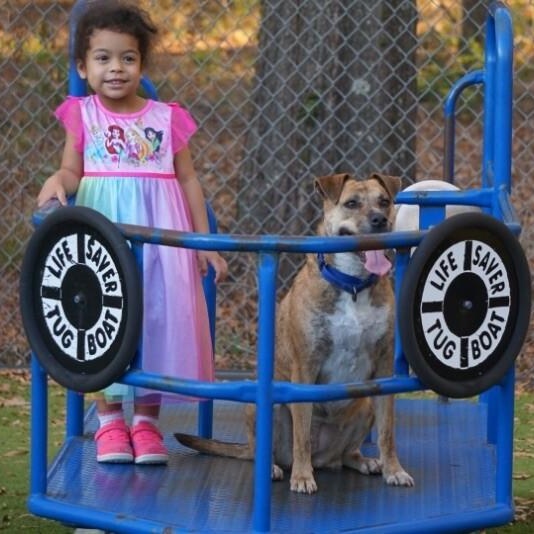 Rita Fajita Homebody Cutie