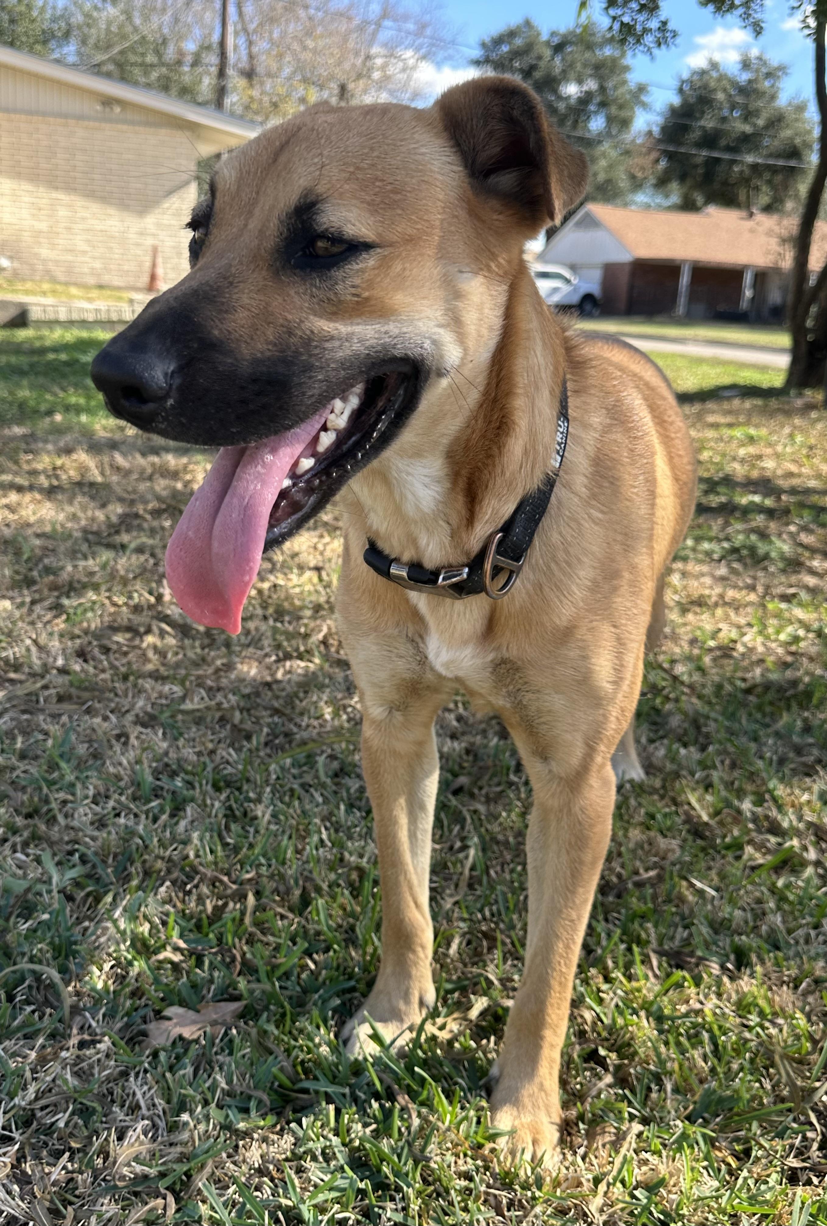 Osito — thumbnail 2