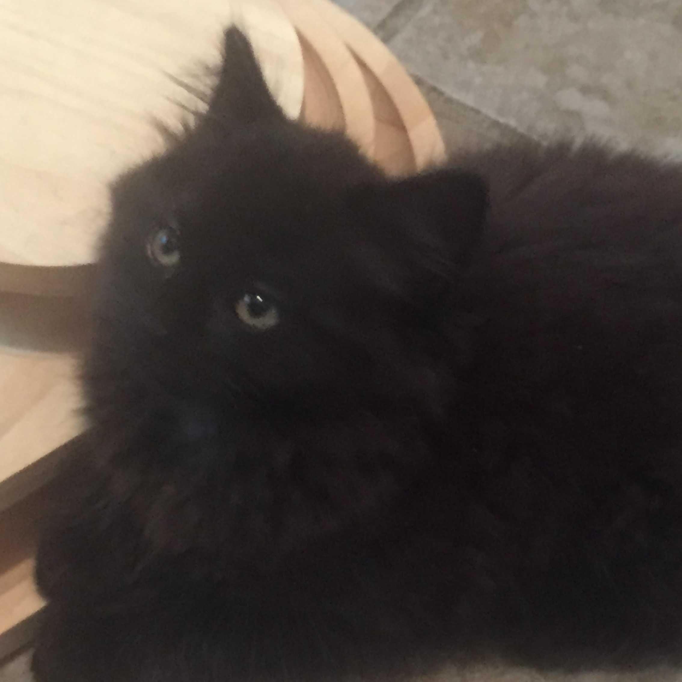 Luna