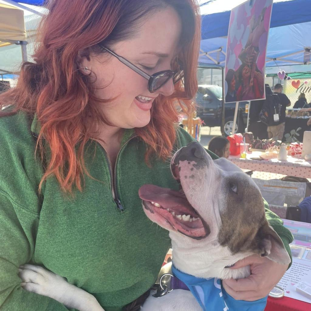 Rock, a Adoptable Mixed Breed in Los Angeles, CA image 5/6