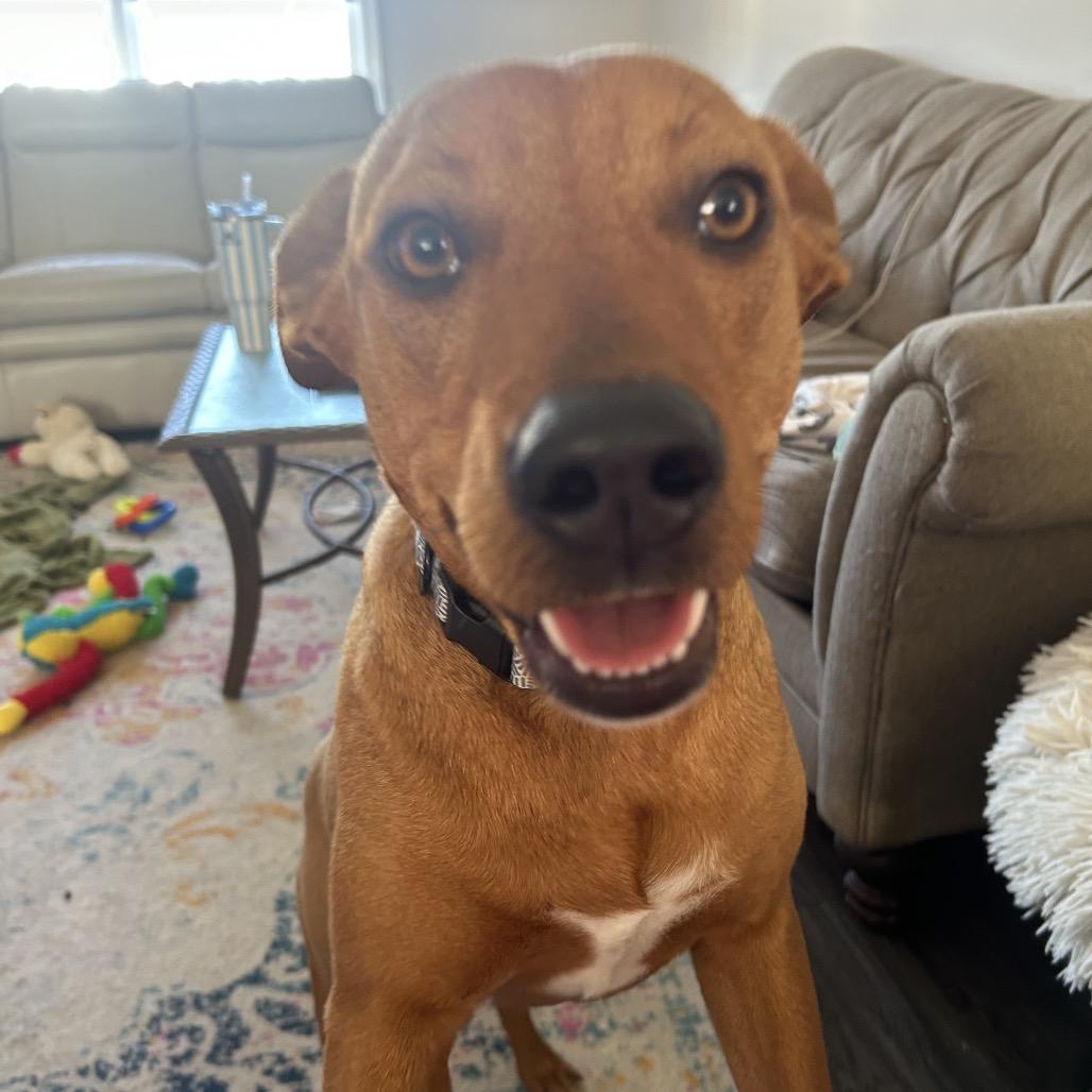 Timmy — thumbnail 2