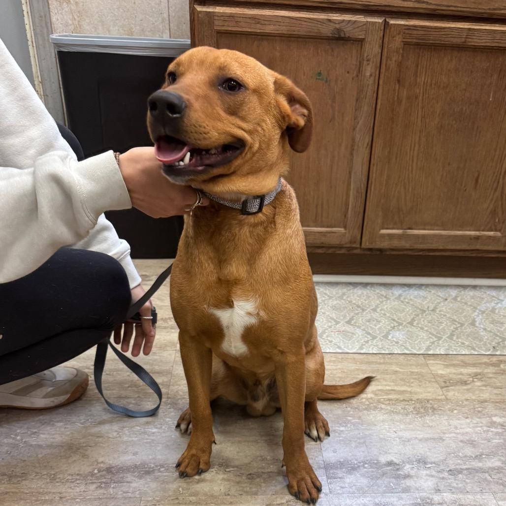 Timmy — thumbnail 3