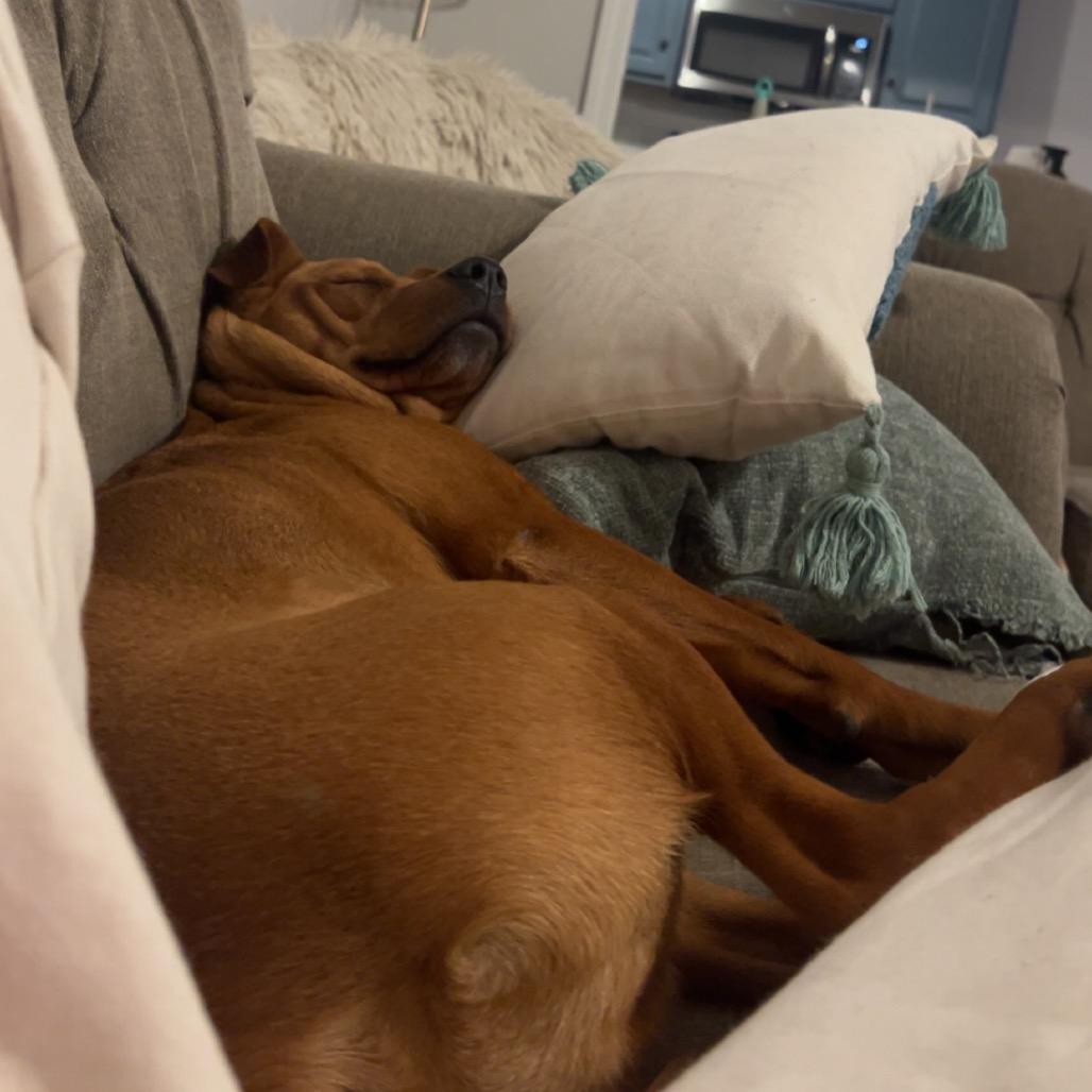 Timmy — thumbnail 4