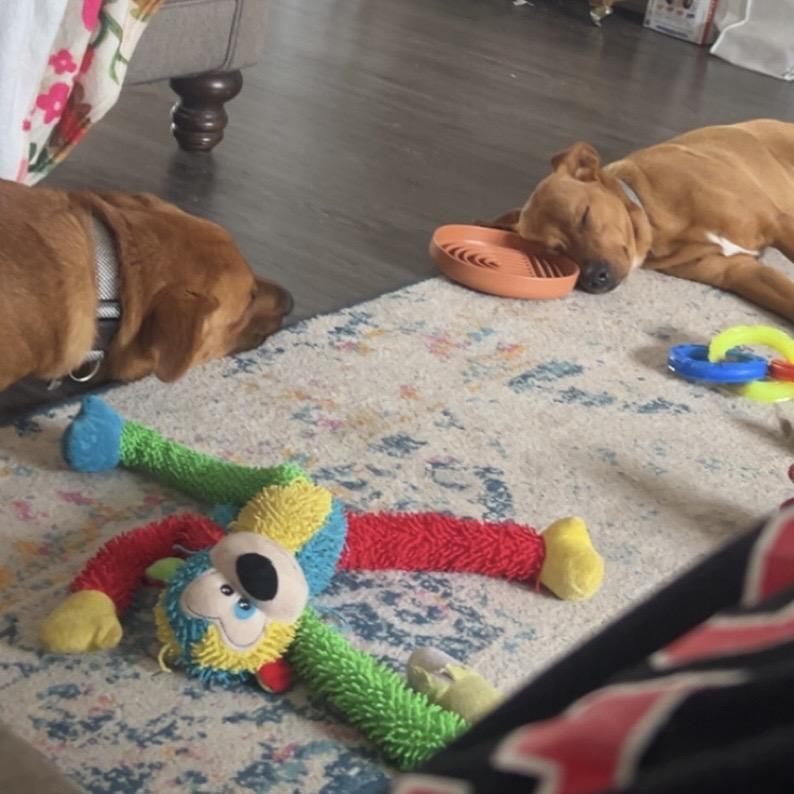 Timmy — thumbnail 5