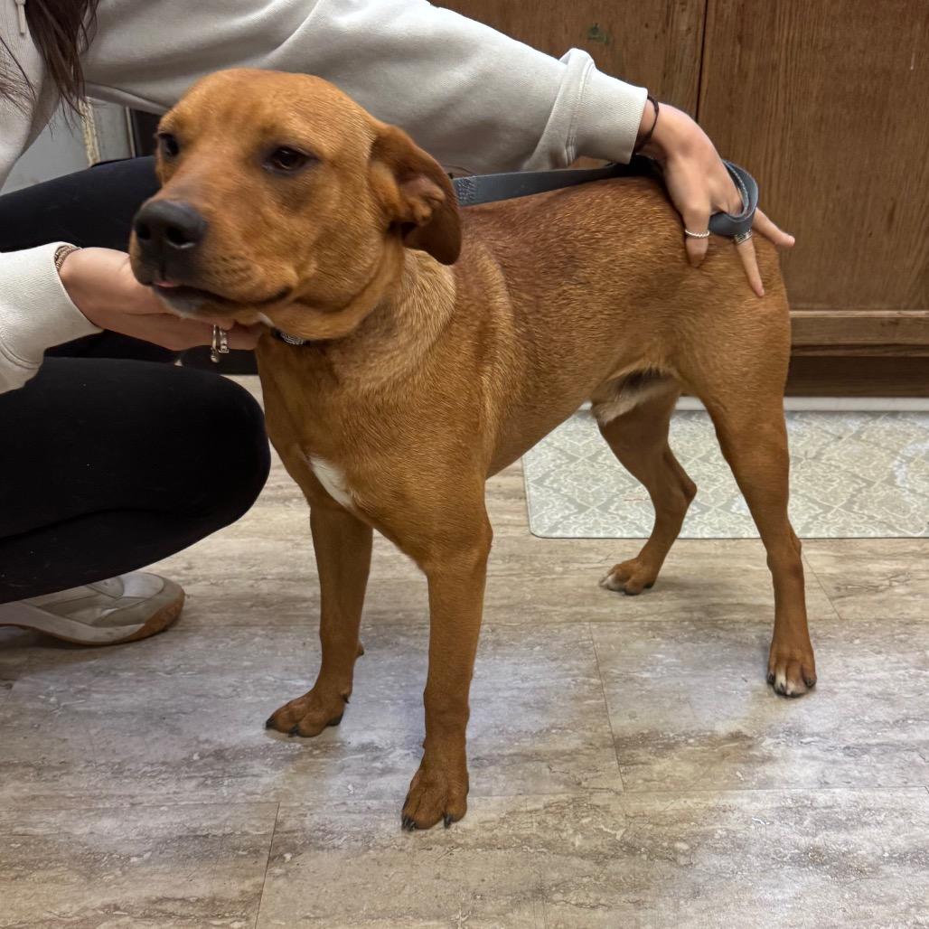 Timmy — thumbnail 6