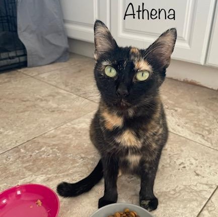 Athena