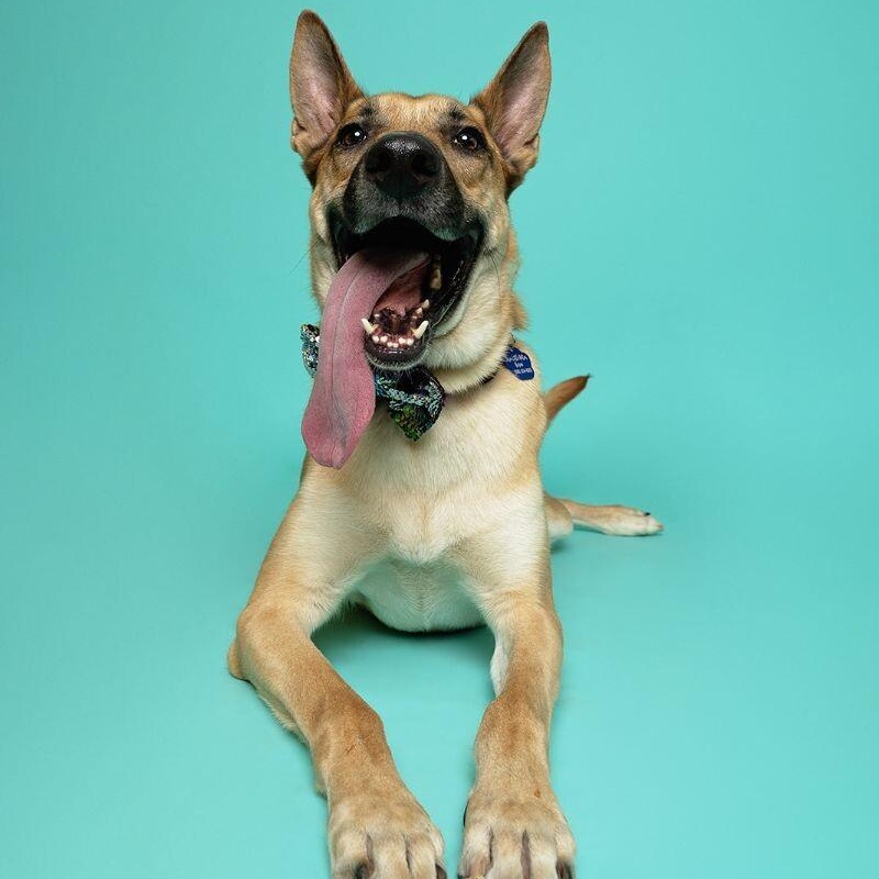 Calhoun English — thumbnail 3