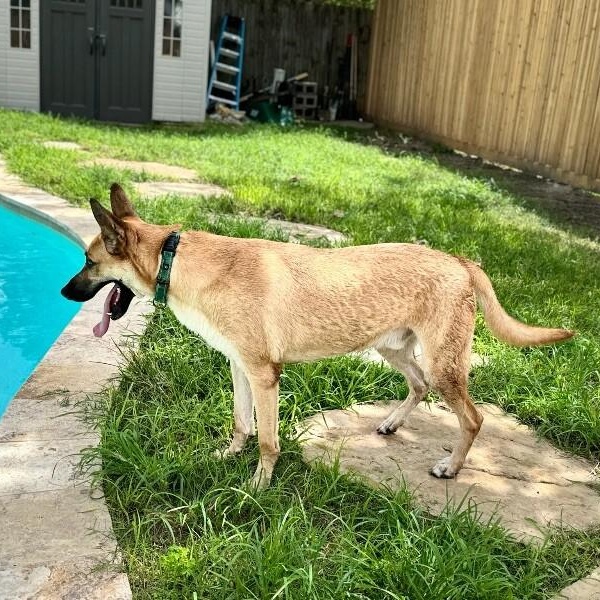 Calhoun English — thumbnail 5