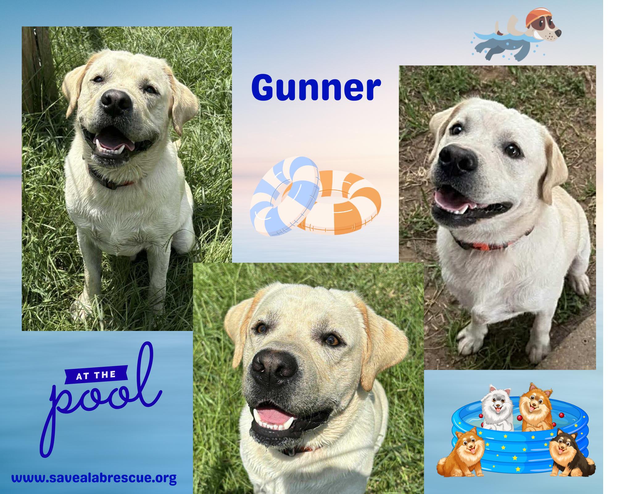 Gunner