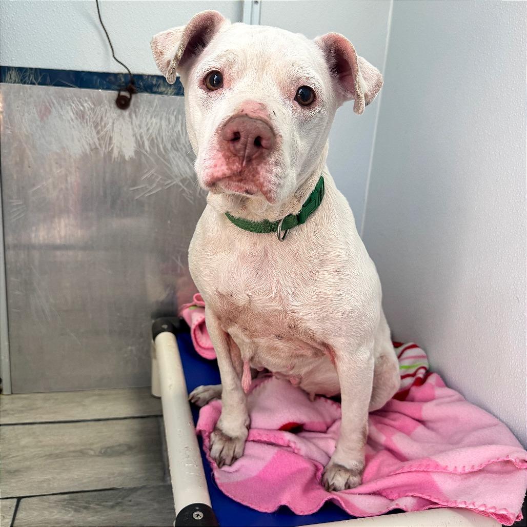 Mary Lynn fka Promise