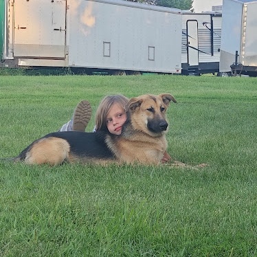 Enlarge Stella, a Adoptable mixed breed in Watertown, SD image 5/5