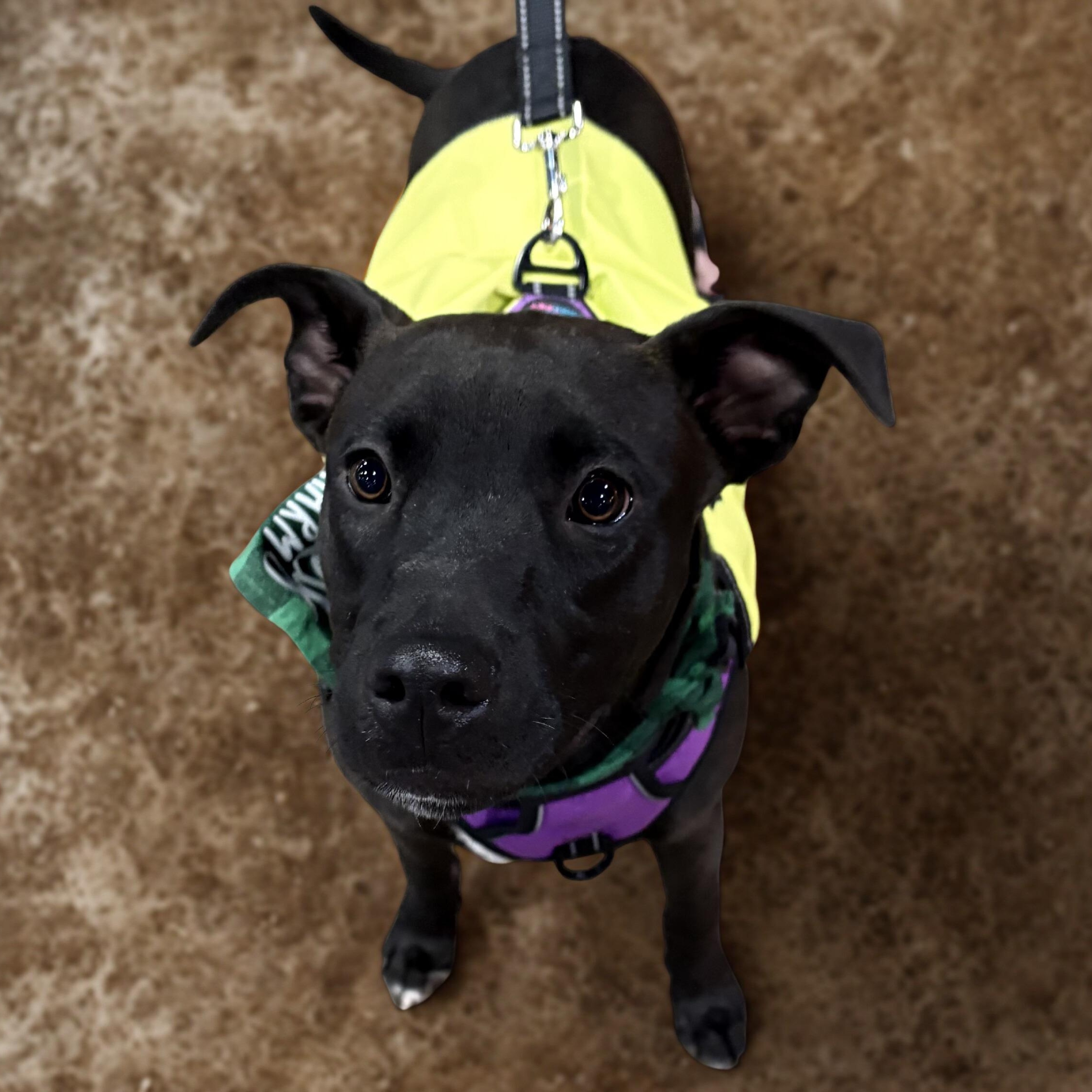 River — thumbnail 2