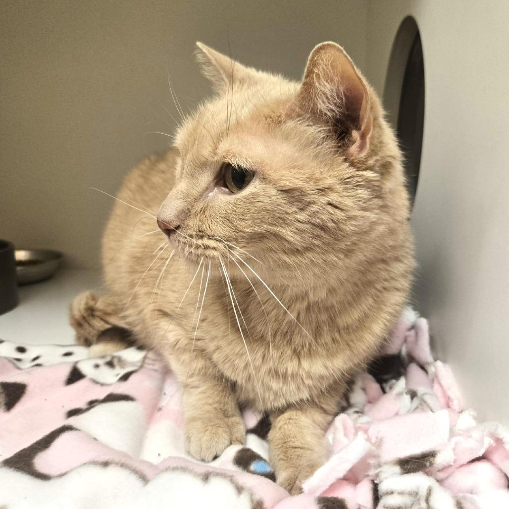 Tanner — thumbnail 3