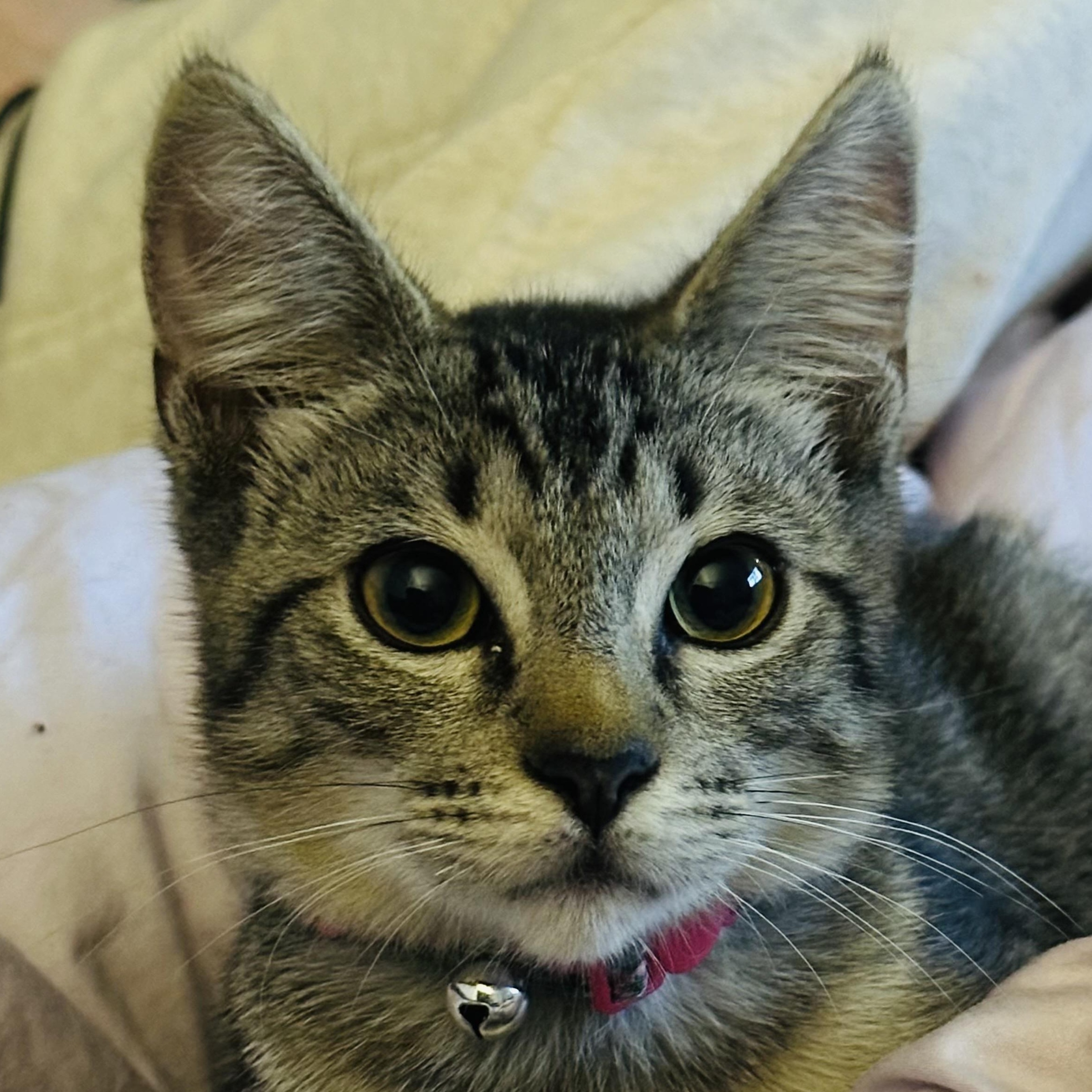 Booger — thumbnail 2