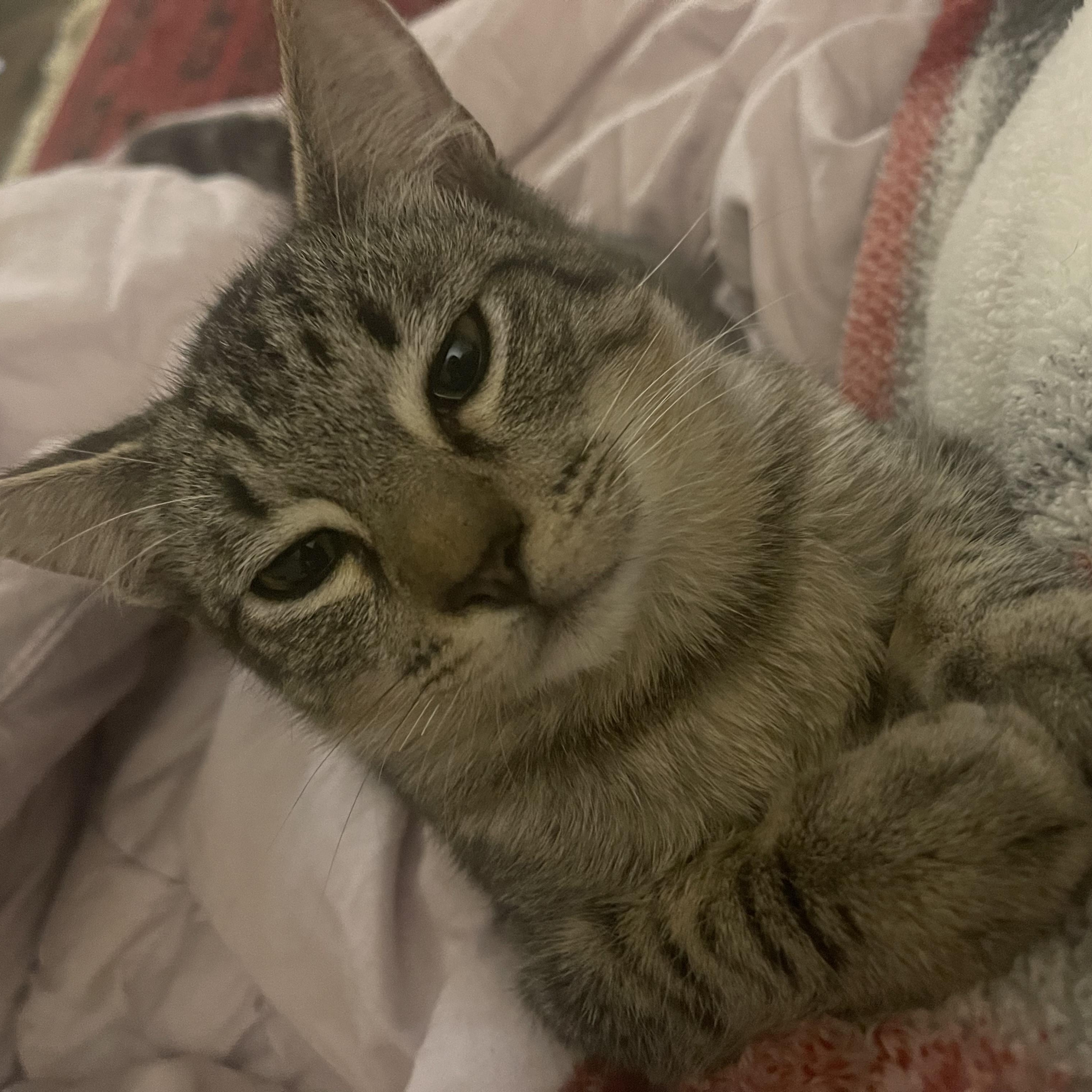 Booger — thumbnail 3