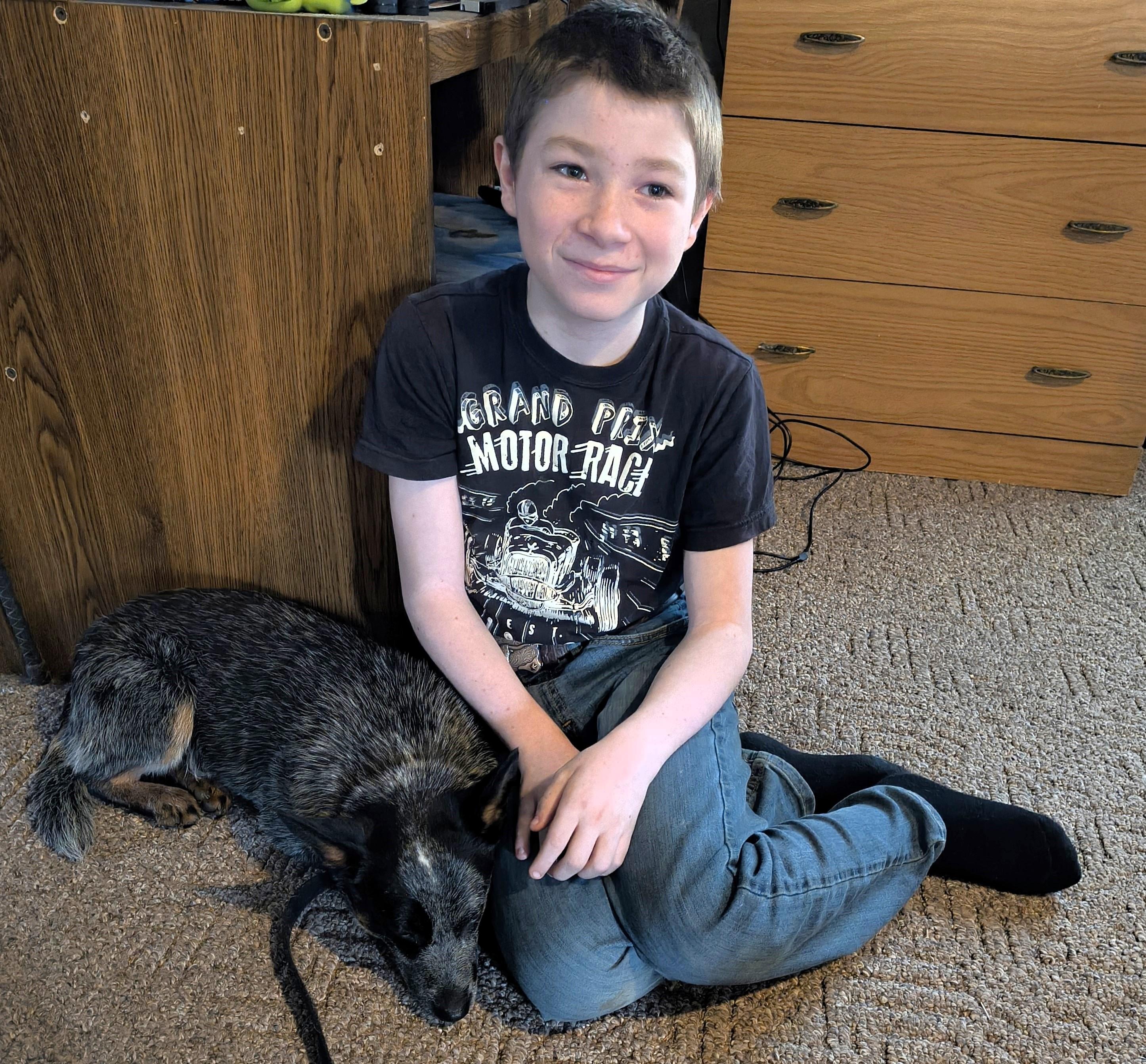 Enlarge Kokomo, a Adoptable Australian Cattle Dog / Blue Heeler in Elk, WA image 5/6