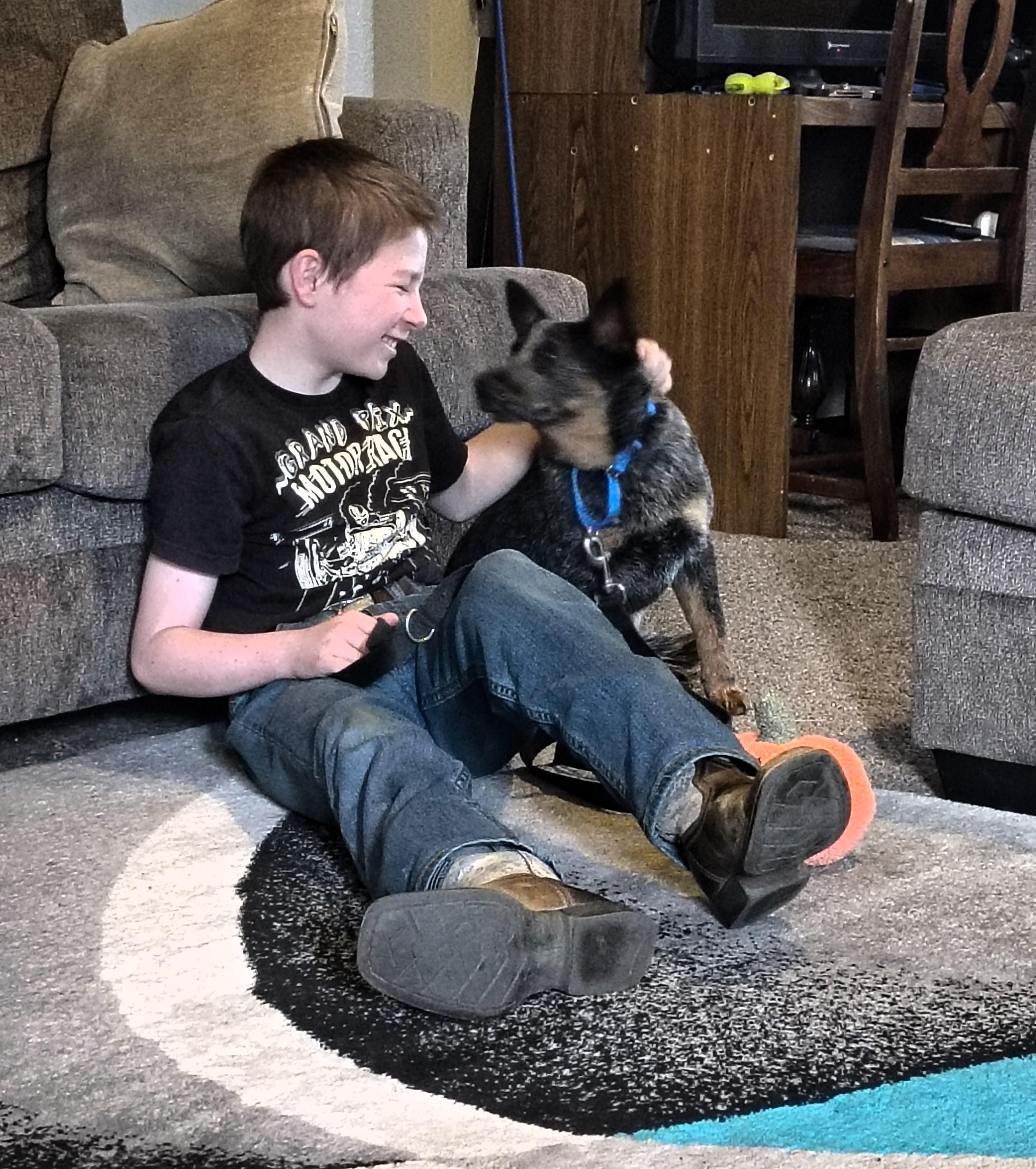 Enlarge Kokomo, a Adoptable Australian Cattle Dog / Blue Heeler in Elk, WA image 6/6