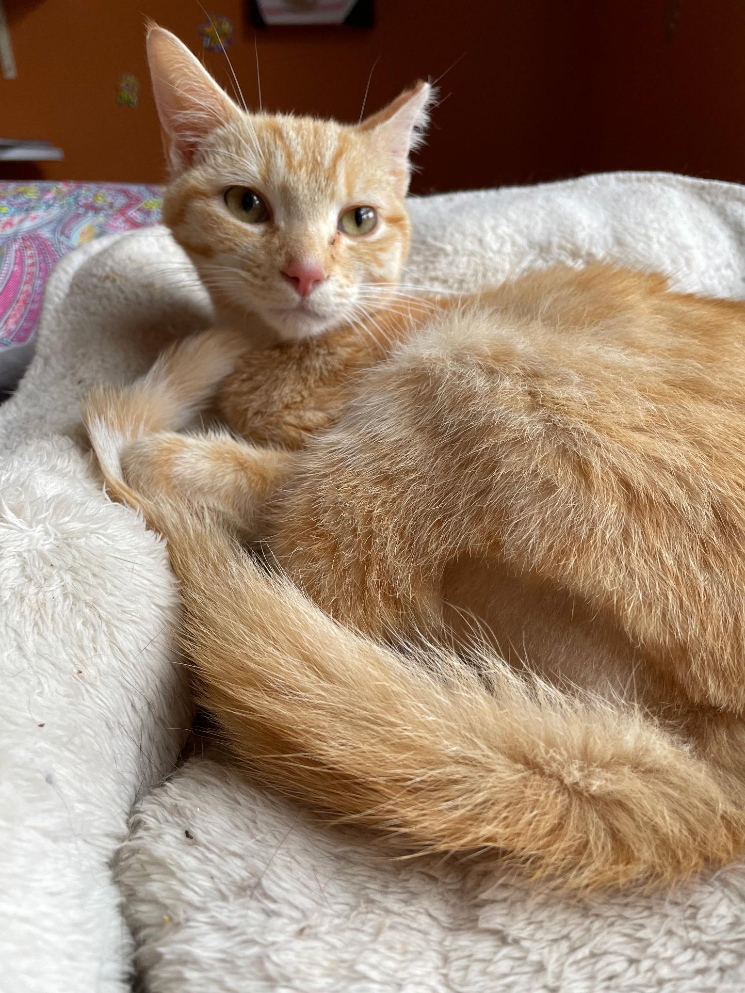 Willie photo 3