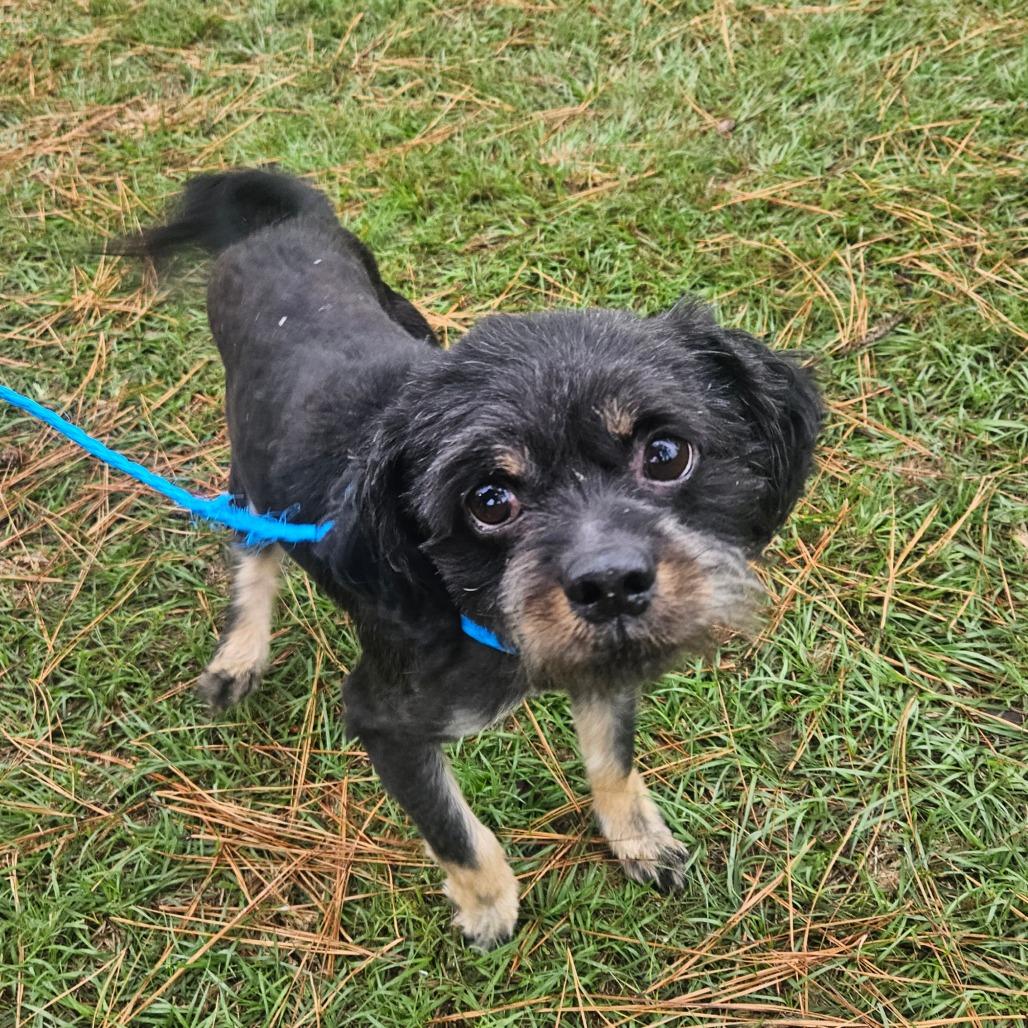 Rascal Flatts thumbnail 3